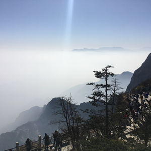 美女不穿衣服一丝不挂录象视频
